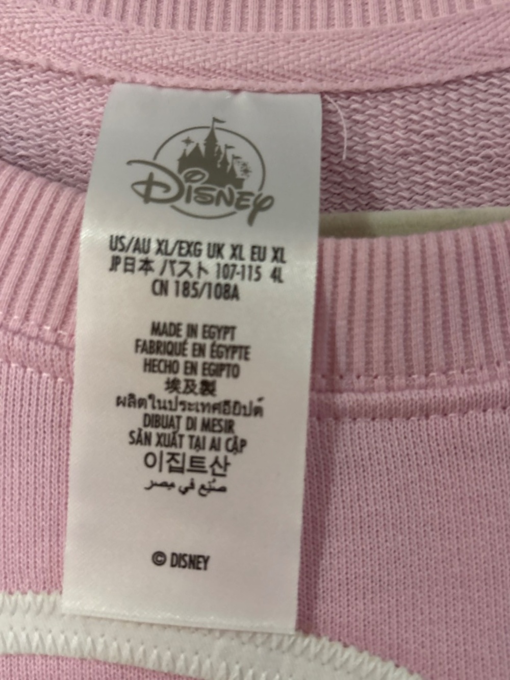 Walt Disney World Logo Sweatshirt Crewneck Castle Pink White  X Large NWT - Picture 3 of 6